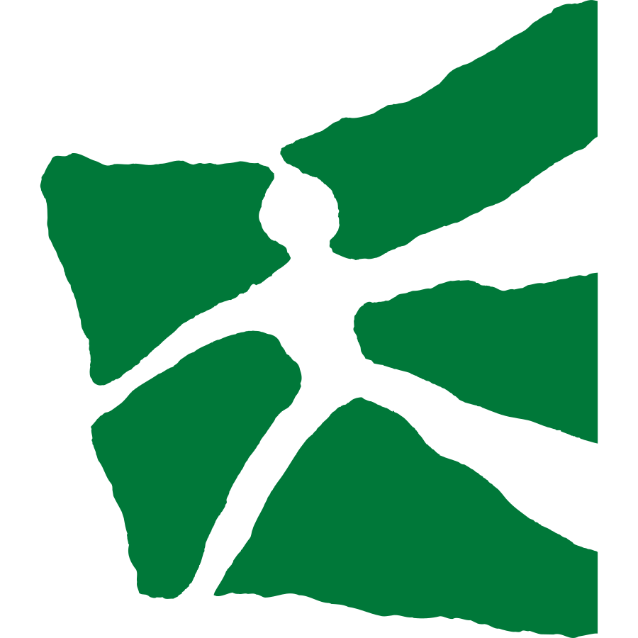 HSG